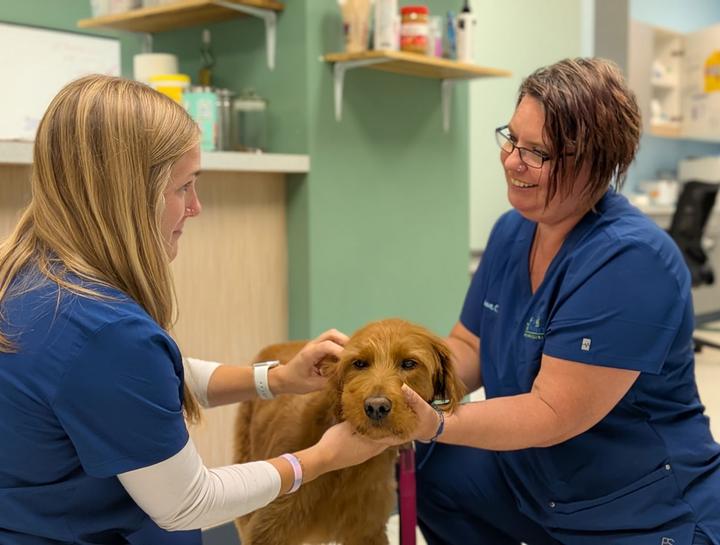 Preventive Care for Dogs